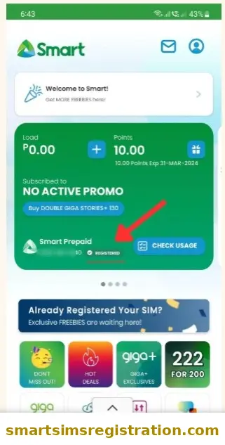 Smart SIM registered status shown inside Smart app dashboard, displaying prepaid SIM details, check usage option, and confirmation that Smart SIM is successfully registered.